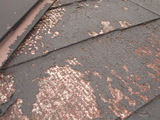 DSC01405