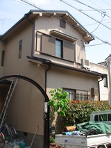 DSC01381