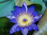 ����ƥ���3.10-2