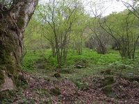 R0014924