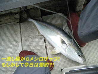 ī�줫��᥸��