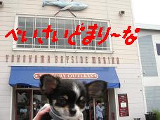 ¥Ù¥¤¥µ¥¤¥É¥Þ¥ê¡¼¥Ê