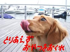 ¤Ï¤Ê¤è¤ê¤À¤ó¤´
