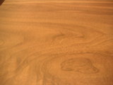 PICT0104