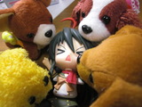 7bd80055.JPG