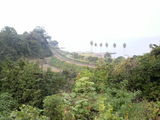 09f44e0a.jpg