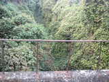 828545c0.jpg
