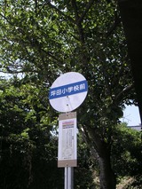 2828f3d1.jpg