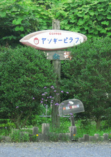 49ef0736.jpg