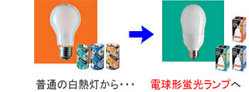 ��Ǯ������ָ����פ�