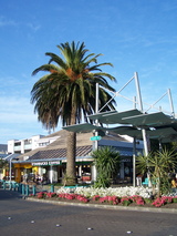 59c8527e.jpg
