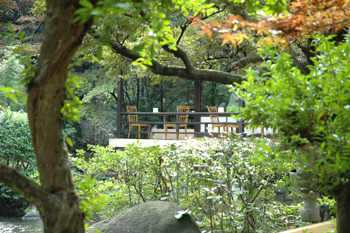 小田急線 鶴巻温泉 温泉 陣屋 10