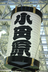 小田原、二宮専徳、小田原城