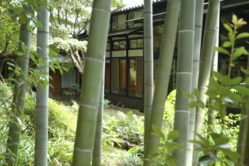 小田急線 鶴巻温泉 温泉 陣屋 8