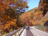 CIMG0733