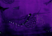 krill-night