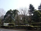窓から見た景色