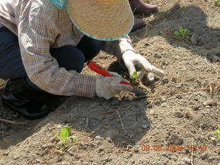 DSCN0901
