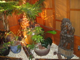 DSC00737