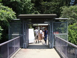 DSC00577