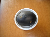 DSC01576