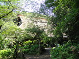 DSC00582