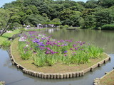 DSC00589