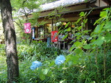 DSC00604