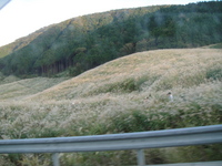 DSC01588