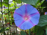 DSC00655