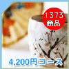 4200円コース
