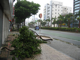 72c46a37.JPG