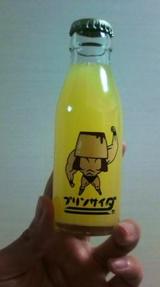 買ってみました!