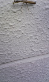 80604a6c.jpg