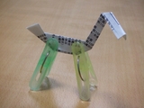 animal_230509