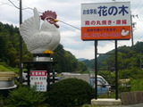 fd5a009a.jpg