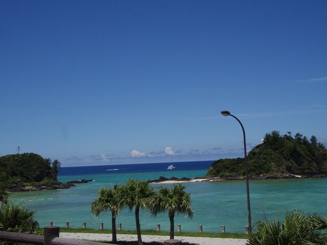 P7290027