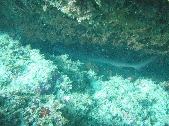 P9170263