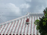 DSCF4988