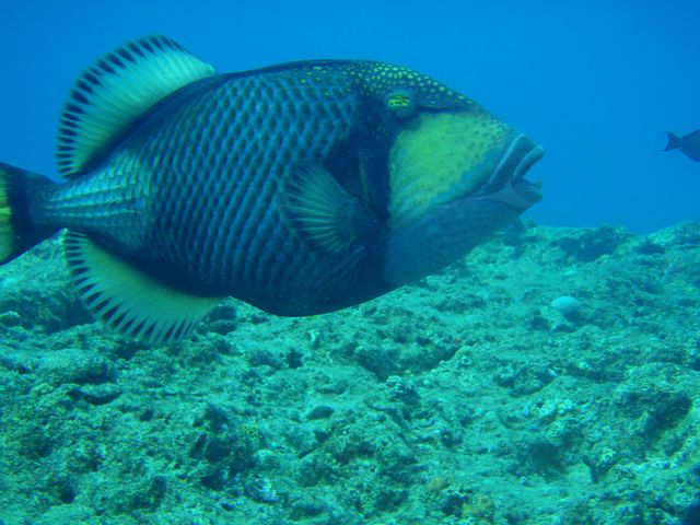 P9170222