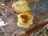 c8546a74.jpg