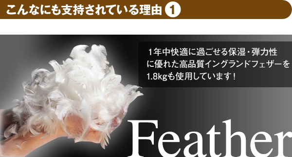 1.8kg掛布団no.11