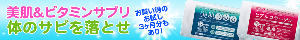 �⤷��DS����ȩ���ӥ��ߥ󥵥ץ�