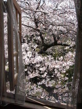 �뤫�鸫�����������Υ�����ʼ��������֥��를��֡פˤơ�