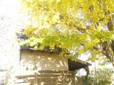 ���դΥ����祦�ȥ��ơ����ʼ��������֥��를��֡פˤơ�