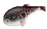 050921�դ�10