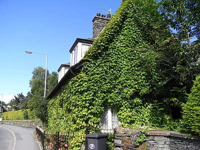 RIMG0699