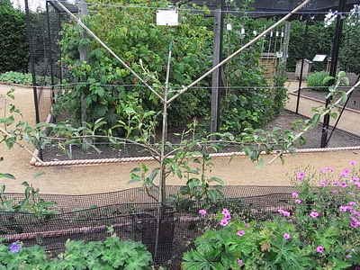 RIMG0610