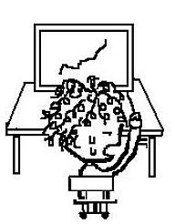 大泉