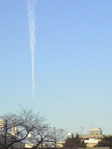 afe49a2b.jpg